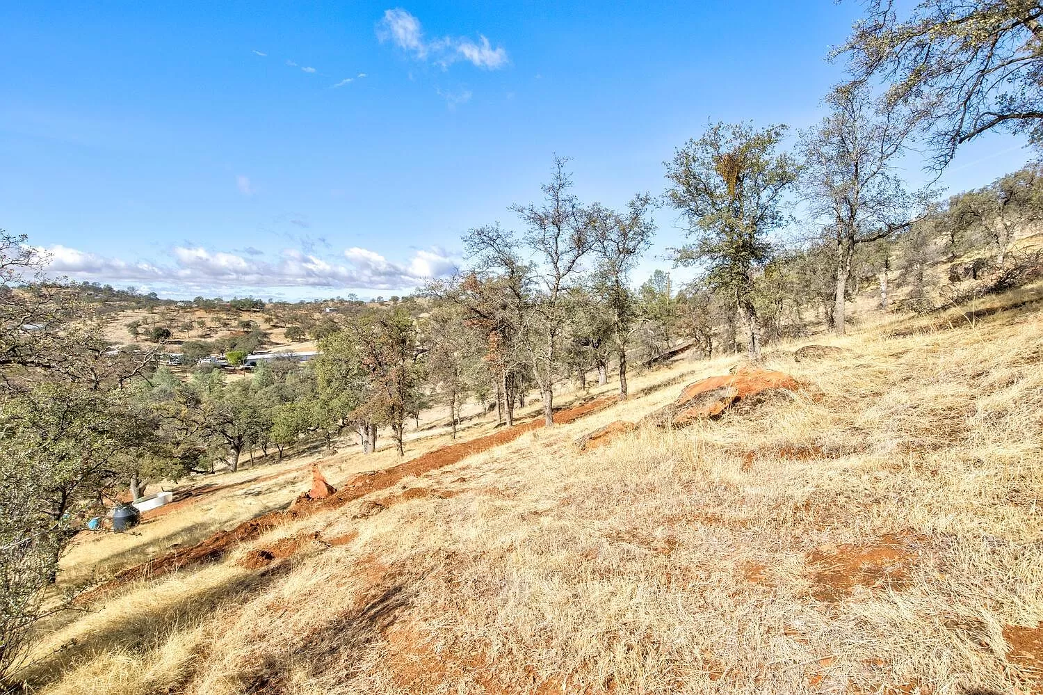 Top/Back of Property