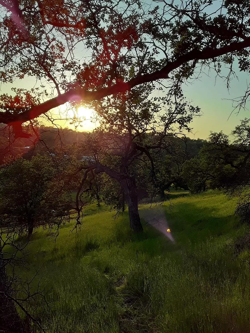 Sunset... Not bad...