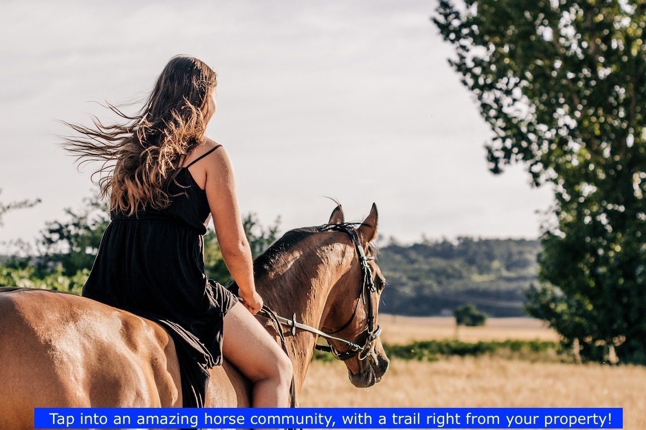 Horse Trails throughout area